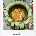 エレベレのお花型猫ベッド「グリーンハウスリーク」